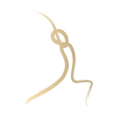 Yoga poses by abstract brush stroke paint gold gradient isolated on transparent background. PNG illustration design elements.