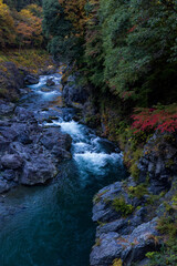 Obraz premium 紅葉の鳩ノ巣渓谷