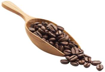 Coffee beans on wooden scoop