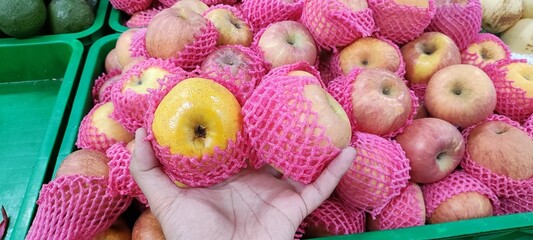 Apple fruit held by hand