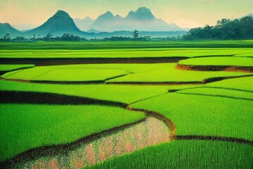 Fototapeta premium Background of Beautiful natural scenery with green rice fields