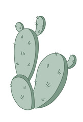 Cactus vector Illustration for your desert design