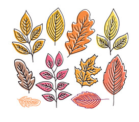 Cute hand drawn doodle leaf autumn fall pattern background. 