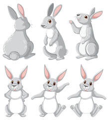 Fototapeta premium White rabbits in different poses set