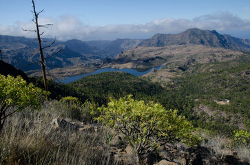 Las Ninas dam. The Nublo Rural Park. Gran Canaria. Canary Islands. Spain.