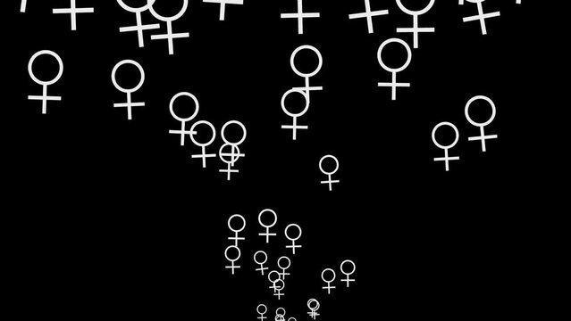 Female ow Women Symbol or Sign Flying Up Animation on Black Background