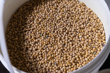 Buckets of sliced raw tofu or Indonesian tahu made from soybean (Glycine max)