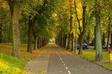 Obraz premium Beautiful autumn. Autumn city. Autumn Park. Background.
