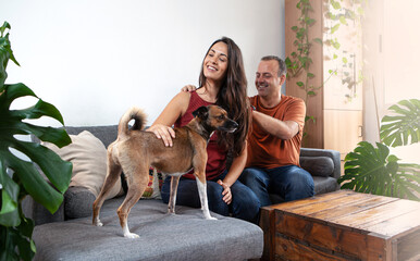 couple relaxing at home with dog on sofa