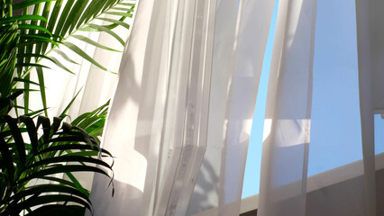 transparent curtain on the window, gently moved by the wind. sunlight. sun's rays shine through the...