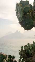 The hill of the two brothers in the background at Ipanema beach in Rio de Janeiro