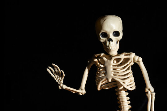 Human Skeleton waving greeting hand isolated on black background. Day of the Dead.