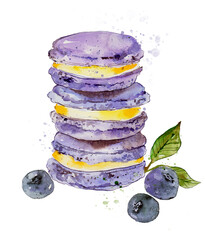 Macarons set with blueberries, raster watercolor illustration