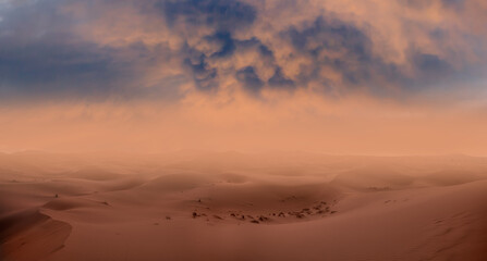Sand dunes and sand storm in the Sahara desert - hot and dry desert landscape - obrazy, fototapety, plakaty