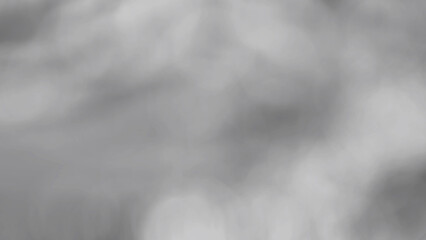 abstract background A flock of domestic ducks in a duck farm in the harvested rice fields. blur black and white gradient central taiwan farm domestic rearing flock food birds trees tropical paddy 