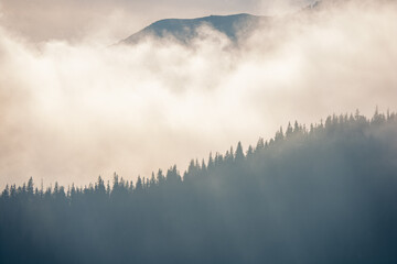 fog in the mountains, Belianske Tatras, Slovakia