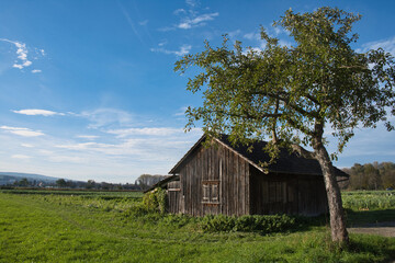 Alleinstehende Hütte im Feld