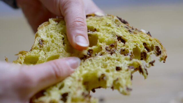 A woman breaks a slice of typical Milanese homemade traditional Italian Christmas panettone with almonds, chocolate drops and sugar