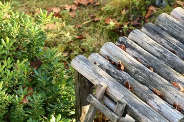 Fototapeta premium 動物園のレッサーパンダの小屋
