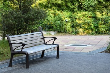 Fototapeta premium 公園のベンチ