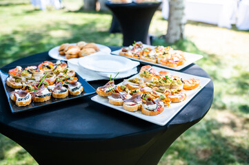 All kinds of appetizers and tapas, sausages, cheeses and vegetables at an event. waiter
