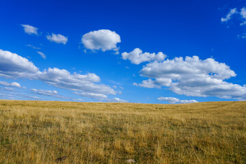 Fototapeta premium Nature in the Dörnberg nature reserve. View of the surrounding countryside near Kassel. 