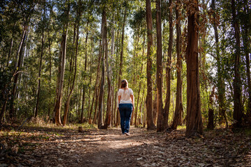 Mujer de espalda caminando y explorando bosque misterioso al atardecer