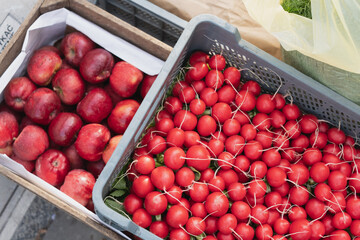 Vegetable market. Boxes and radishes in boxes at the vegetable market.
