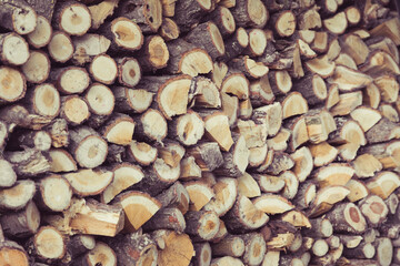 gelagertes brennholz