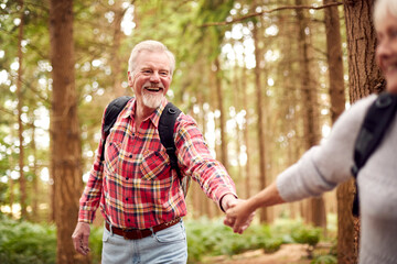 Close Up Of Loving Retired Senior Couple Holding Hands Hiking In Woodland Countryside Together