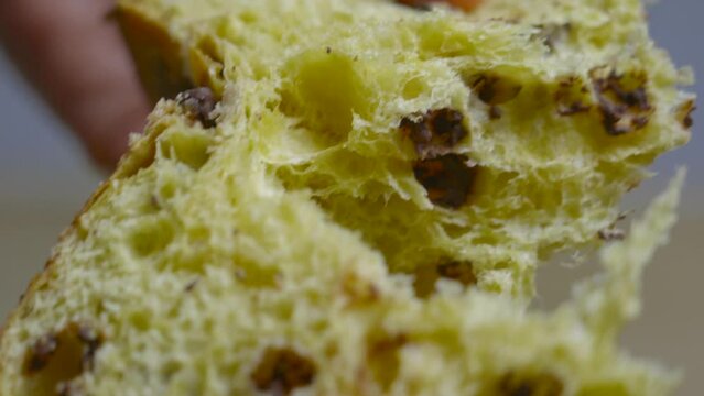 A woman breaks a slice of typical Milanese homemade traditional Italian Christmas panettone with almonds, chocolate drops and sugar