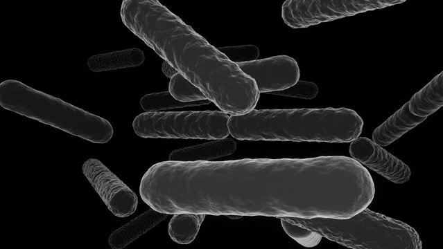 Cell proteins under electron microscope 3d animation
