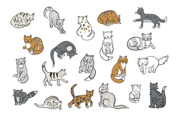 Cat domestic animal vector illustrations set.