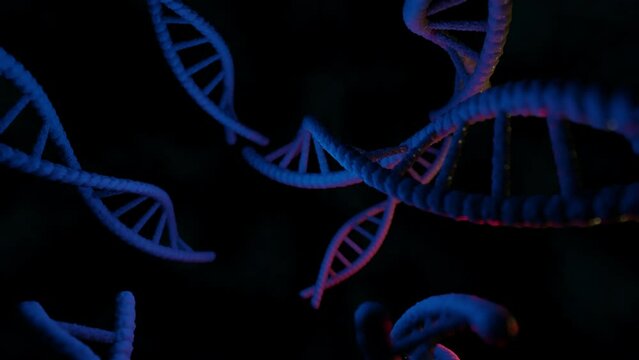 DNA strands in cell rotating 3d animation seamless loop