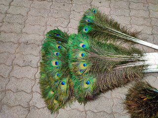 Peacock feathers selling in an open market of India. Peacock feathers used for decoration in Indian...