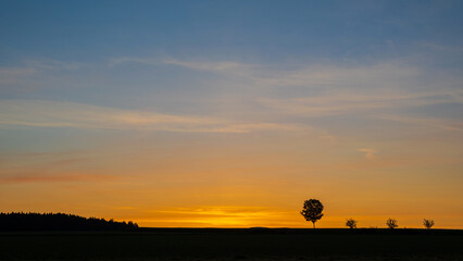 sunset in the desert