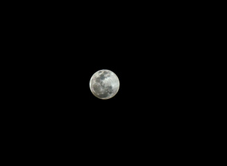 fotografia del planeta luna en el cielo obscuro  © Paul