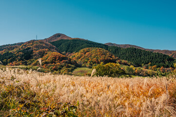 蒜山