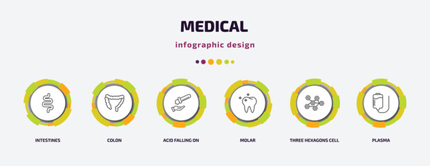 medical infographic template with icons and 6 step or option. medical icons such as intestines, colon, acid falling on hand, molar, three hexagons cell, plasma vector. can be used for banner, info