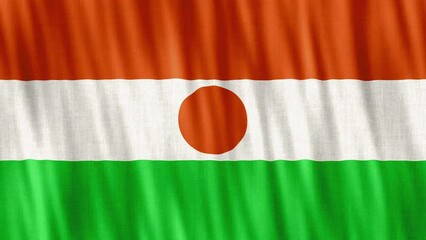 Niger National Flag. Seamless loop animation closeup waving. 