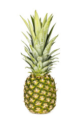 a pineapple fruit isolated on transparent background PNG file