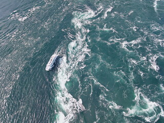 鳴門海峡大橋の渦潮クルーズツアーの空撮写真