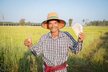 Happy Asian man farmer with smiling face hand holding money in rice farm, cash subsidy concept