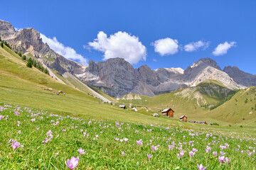 Fototapeta premium View of Fuciade Valley in the Dolomites