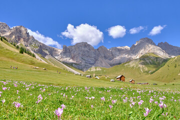 View of Fuciade Valley in the Dolomites