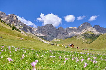 View of Fuciade Valley in the Dolomites