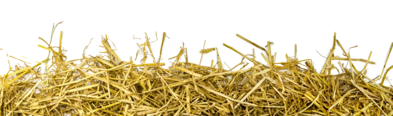 Foto op Plexiglas a bunch of straw as border, isolated on transparent background PNG file © Alexander Baumann