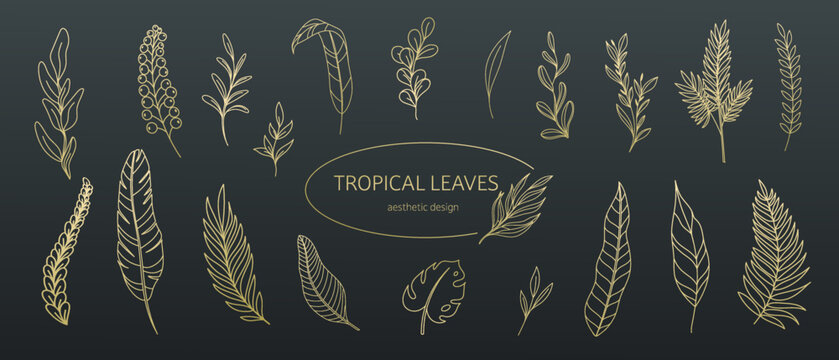 Tropical leaves outline icons set vector illustration. Hand drawn line summer leaf silhouettes, foliage of different exotic plants and tropical trees in floral aesthetic collection on black background