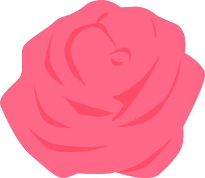 Pink rose flat icon Rare beautiful flower for bouquets