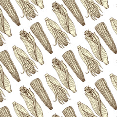 Sketch corn. Harvesting cereals, hand drawn cobs and seeds vector seamless pattern